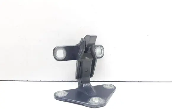BMW X5 E70 Tailgate hinge 141879