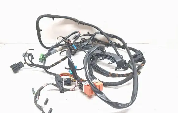 BMW 3 E92 E93 Other wiring loom 6970830