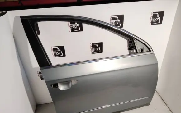 Volkswagen PASSAT B6 Front door LB6S
