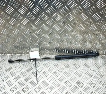 Renault Arkana Tailgate/trunk strut/damper 904520237R