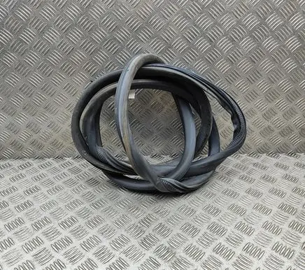 Opel Vivaro Rubber seal front coupe door 9806514880