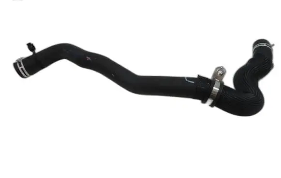 Renault Laguna III Engine coolant pipe/hose 215010012N