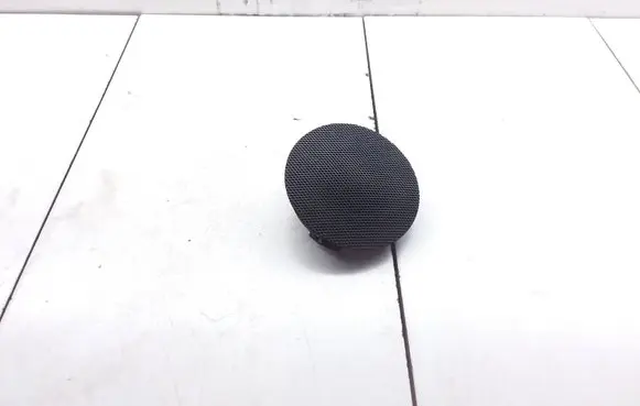 Panel speaker