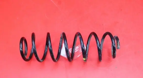 Volkswagen Cross Polo Rear coil spring
