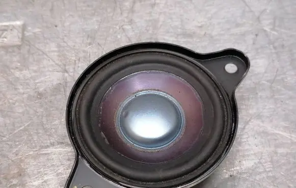 Panel speaker