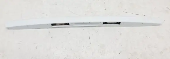 Trunk door license plate light bar