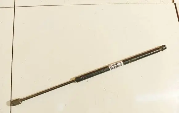 Tailgate/trunk strut/damper