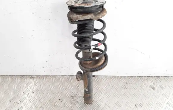 Peugeot 607 Front shock absorber with coil spring