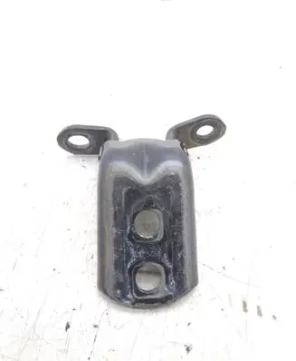 Renault Kadjar Rear door lower hinge 