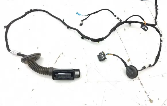 BMW 2 Active Tourer U06 Rear door wiring loom 5A41116