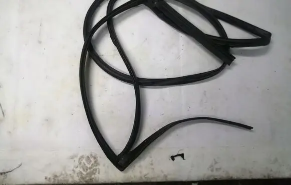 Renault Kadjar Rubber seal rear door 769248085R