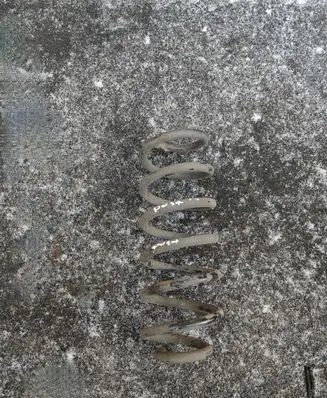 Nissan Qashqai Rear coil spring