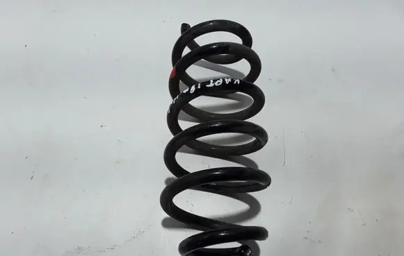 Renault Captur Rear coil spring 550201983R