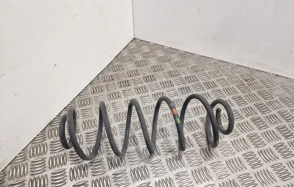 Citroen C3 Picasso Rear coil spring