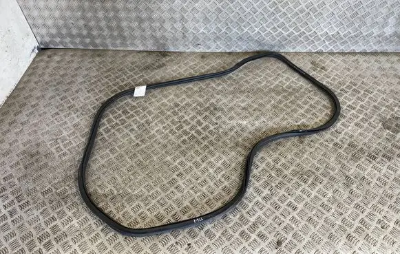 Volkswagen Tiguan Rubber seal front door (on door) 5NA867911B