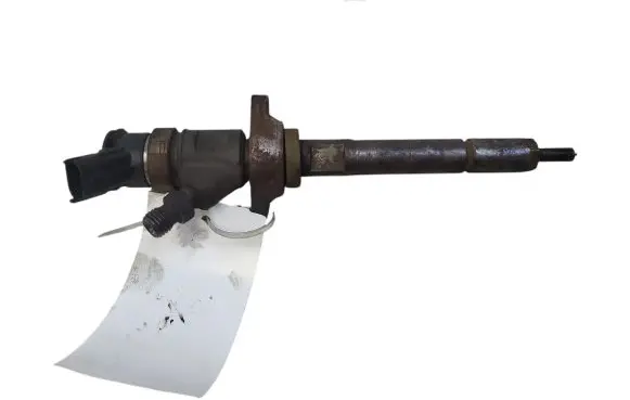 Citroen C5 Fuel injector 0445110297