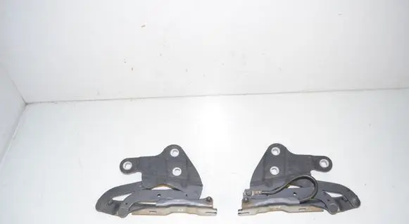 BMW X1 E84 Engine bonnet/hood hinges 2990359 2990360 2993149