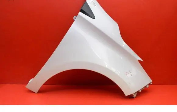 Renault Zoe Fender