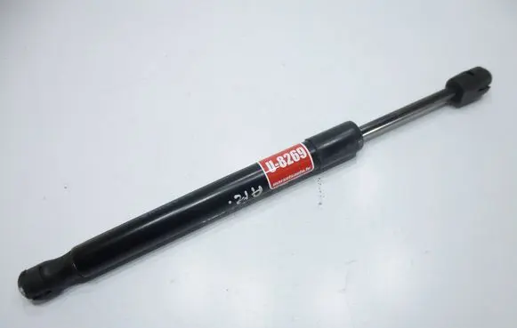 Tailgate/trunk strut/damper