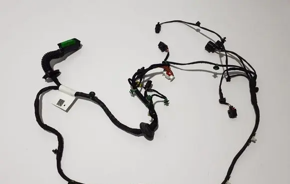 Porsche Panamera (971) Other wiring loom