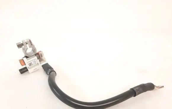 Porsche Macan (95B) Negative earth cable (battery) 80A915181A