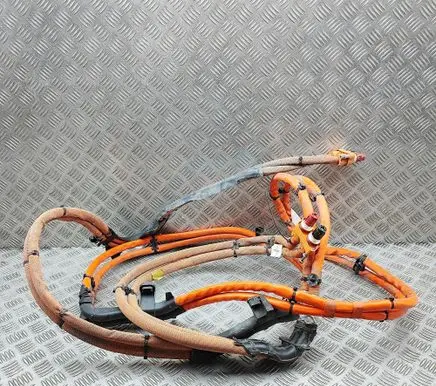 Porsche Panamera (971) Other wiring loom 971971015F