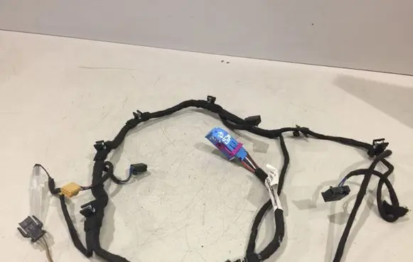 Front door wiring loom