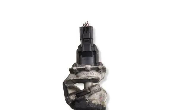 Peugeot 307 EGR valve 