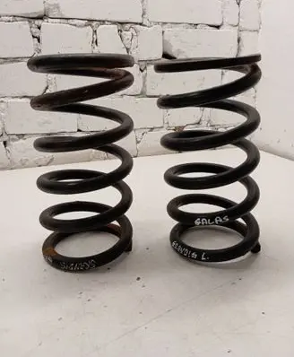 Rear coil spring