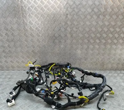 Other wiring loom