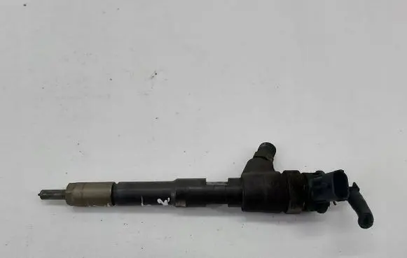 Dacia Dokker Fuel injector