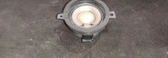 Panel speaker