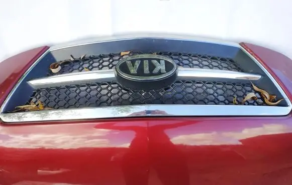 KIA Sorento Front grill