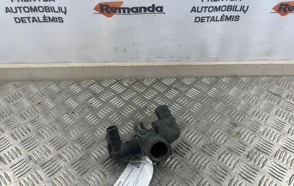 Thermostat/thermostat housing