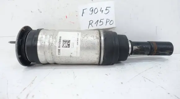 Jaguar I-Pace Front shock absorber/damper 0171G695
