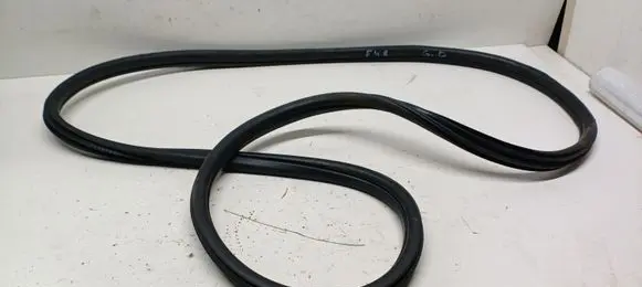 BMW X1 F48 F49 Rear door rubber seal (on body) 7349665