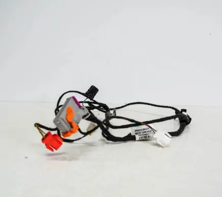Front door wiring loom