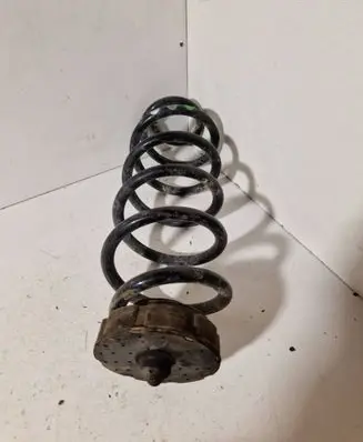 Rear coil spring