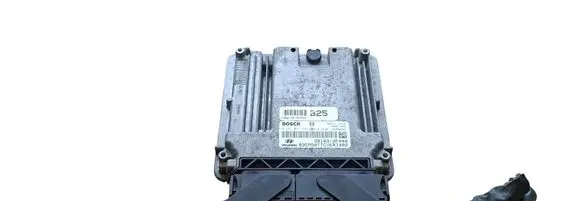 Hyundai Santa Fe Engine control unit/module 391032F440 391182F440 0281017541