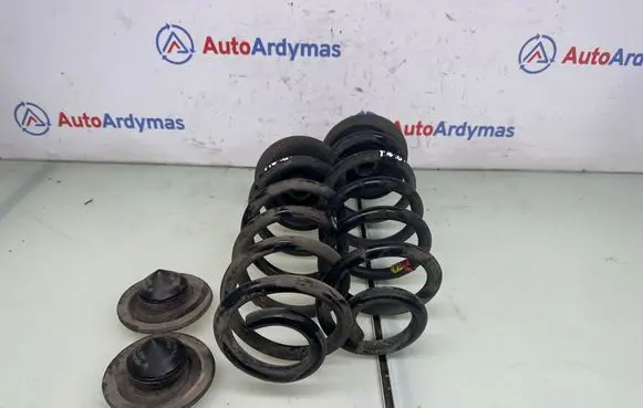 Rear coil spring