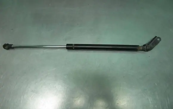 Toyota Urban Cruiser (XP110) Tailgate strut 