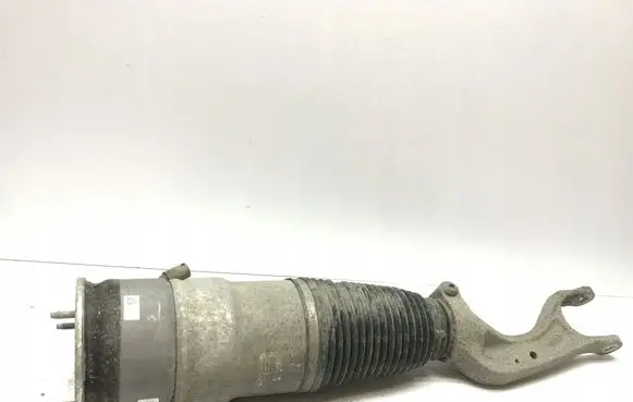 Tesla Model X Front shock absorber with coil spring