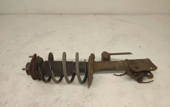 Hyundai Santa Fe Front shock absorber with coil spring