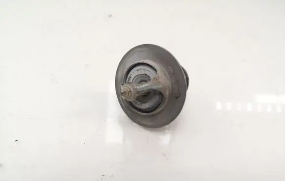 Hyundai H-1, Starex, Satellite Thermostat 
