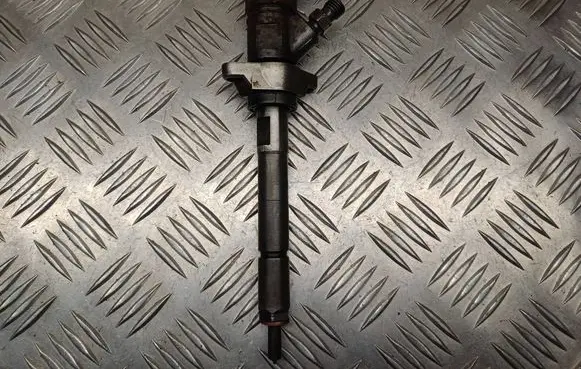 Citroen C4 I Fuel injector 0445110297