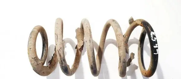 Hyundai Santa Fe Rear coil spring