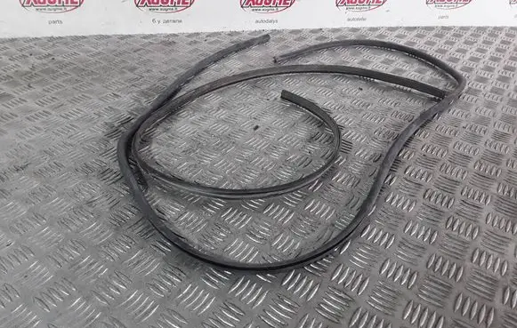 Aston Martin DB7 Rubber seal front coupe door window 