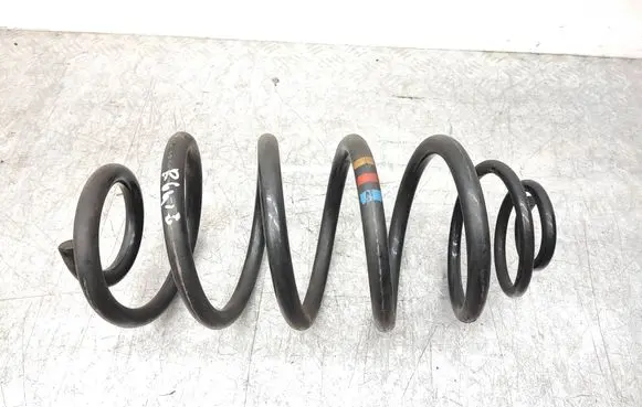 Rear coil spring