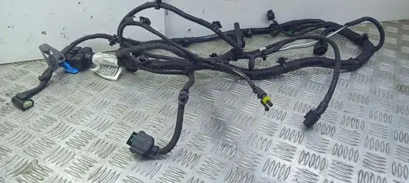 Maserati Levante Other wiring loom 06700323660