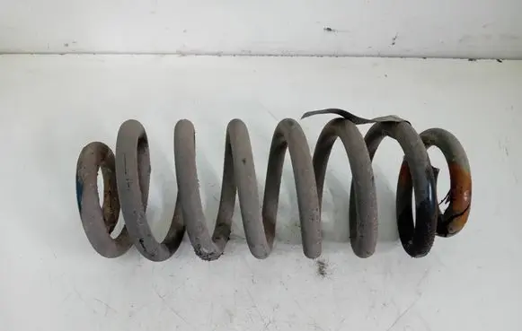 Rear coil spring